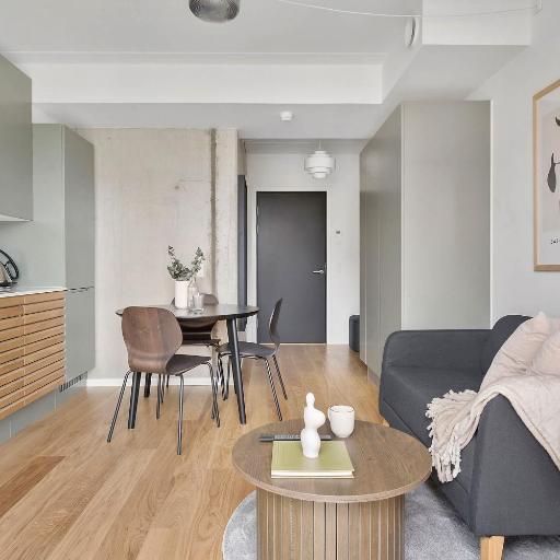 Modern Luxury Apartment, undefined