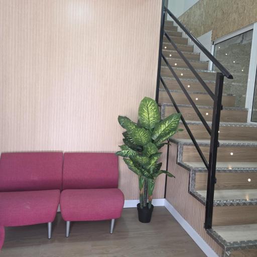 Hostal NV Palacio Congresos, undefined