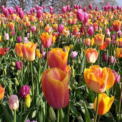 Cozy Place Lakeside, undefined