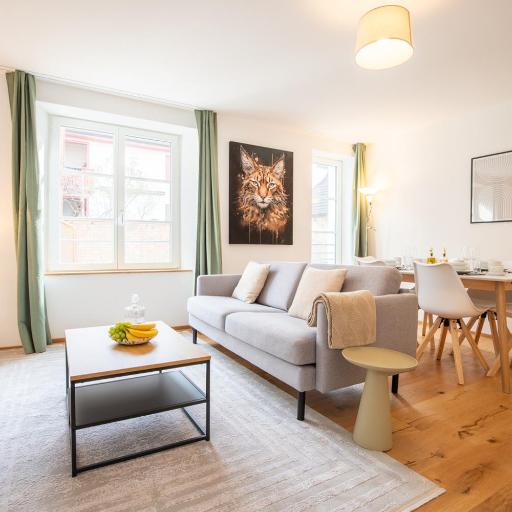 Special TOP LUX 12 Apartment, Top Lage!!! Luxuriös!!! Ruhig!!! Rheinufer!!! Altstadt Kleinbasel 10-STAR, undefined