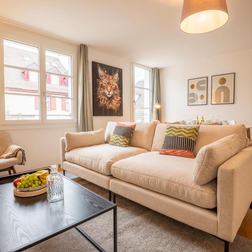Special TOP LUX 22 Apartment, Top Lage!!! Luxuriös!!! Ruhig!!! Rheinufer!!! Altstadt Kleinbasel 10-STAR, undefined