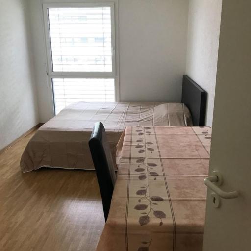 Prive room in new apartment at Chemin Daniel Ihly, Petit Lancy, undefined