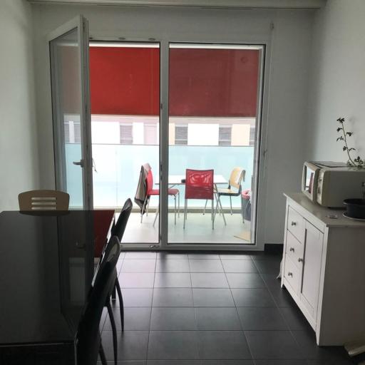 Private room in new apartment, Chemin Daniel Ihly, Lancy, undefined