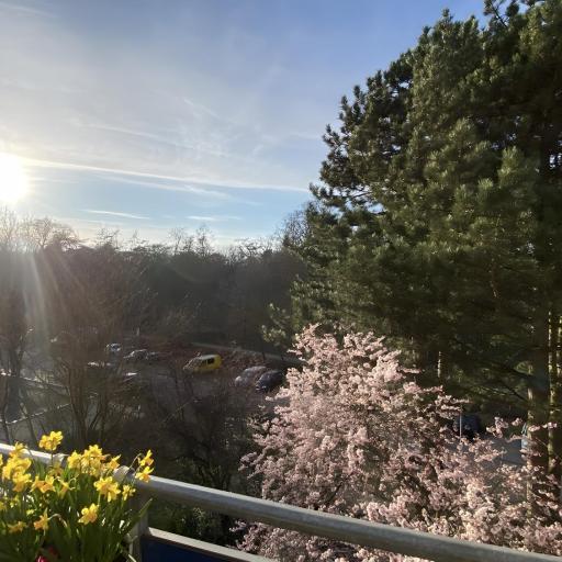 Gemütliche Wohnung in Hannover, undefined