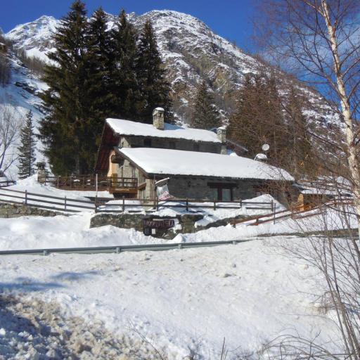 Arthemisia, undefined