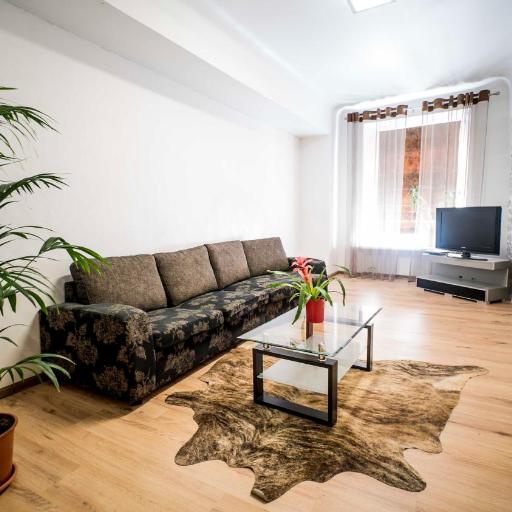 Viru Old Town Apartment, undefined