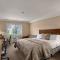 Days Inn by Wyndham San Diego Hotel Circle - Premier King Room - Non-Smoking