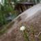 Pielppa Lodge