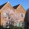 3 Summertown Court