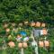 Valley Village Resort Phu Quoc