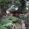 Deniyaya National backpackers hostel