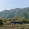 Yakushima Deaf Farm