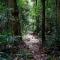 Springbrook Lyrebird Retreat