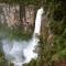 Springbrook Lyrebird Retreat
