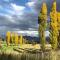 Birchwood A & B @ Clarens
