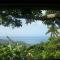 mango tree lodge