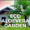 Eco Aloevera Garden