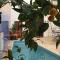 Riad Safia