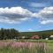 Roste Hyttetun og Camping
