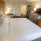 Holiday Inn Orlando International Airport, an IHG Hotel - Standaard Kingsize Met Slaapbank - Niet Roken
