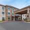 Comfort Inn and Suites Odessa