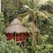 Tree House Village - Waterfall
