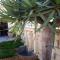 Bugibba Homes Suite