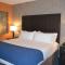Holiday Inn Express Hotel & Suites Knoxville, an IHG Hotel - Standaard King Room