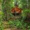 The Canopy Rainforest Treehouses & Wildlife Sanctuary