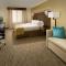 Holiday Inn El Paso Airport, an IHG Hotel - Chambre King Standard