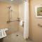 Holiday Inn Austin -Town Lake, an IHG Hotel - Chambre Double - Tuyau Accessible À La Mobilité - Non-Fumeurs