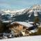 Chalet Grizzly