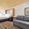 Holiday Inn Houston Intercontinental Airport, an IHG Hotel - Habitación King - Acceso A La Movilidad Bañera - No Fumadores