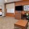 Holiday Inn Express & Suites Buffalo Downtown, an IHG Hotel - Suite Queen Con Ducha Roll-In - Acceso Por Discapacidad