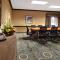 Holiday Inn & Suites Spring - The Woodlands