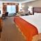 Holiday Inn Express Hotel & Suites - Dubuque West, an IHG Hotel - Standaard King Room
