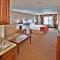 Holiday Inn Express Hotel & Suites - Dubuque West, an IHG Hotel - Queen Suite Met Slaapbank