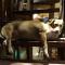 Lazy Dog Bed & Breakfast
