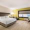 Holiday Inn Express & Suites Jacksonville - Town Center, an IHG Hotel - Standaard King Room