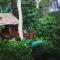 Our Jungle House - SHA Certified