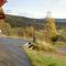 Four-Bedroom Holiday home in Hovden 2