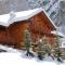 Alta Luce Mountain Lodge