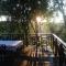 Cabbage Tree Cottage