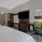 Holiday Inn Express - Milwaukee Downtown, an IHG Hotel - Standaard King Room