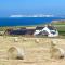 Chale Bay Farm