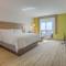 Holiday Inn Express Hotel & Suites Gulf Shores, an IHG Hotel - Chambre King Standard