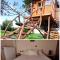 Cuckoo's nest tree house