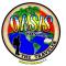Oasis The Traveler