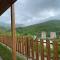 Popock Dilijan 1
