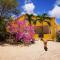 Roadrunner-Bonaire